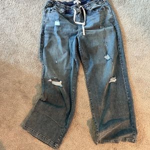 Lane Bryant Wide Leg Jeans